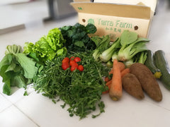 Weekly Organic / Bio-Dynamic Vegetable Box - Farmz