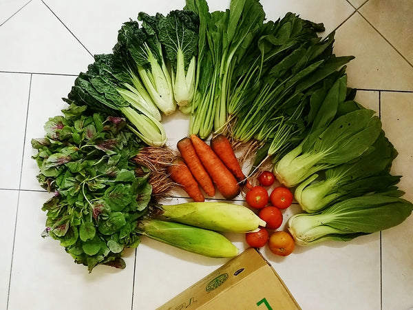 Weekly Organic / Bio-Dynamic Vegetable Box - Farmz